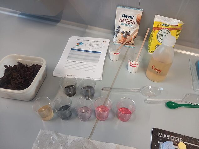 Das Experiment "Wie werden lila Karotten pink?"
Man sieht verschiedene Chemikalien wie Natron, Citronensäure und Essig, sowie lila Karotten in Stücken und als Extrakt. 
Außerdem eine Reihe von 5 Bechern mit Lösungen unterschiedlicher pH-Werte und daher unterschiedlicher Farben (aufgrund die Zugabe des Extrakts).